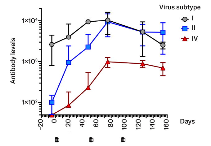 Chart showing BK Polyomavirus (BKV) serum antibody levels before and after drinking yeast expressing BKV-IV VLPs